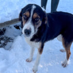 20260108-fotos-loara-15