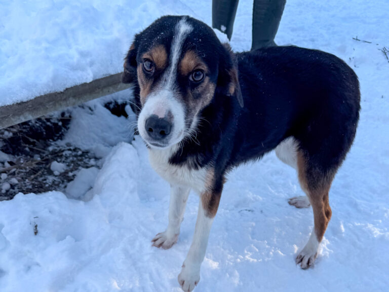 20260108-fotos-loara-15