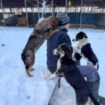 20260108-fotos-loara-16