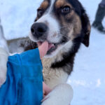 20260108-fotos-loara-17