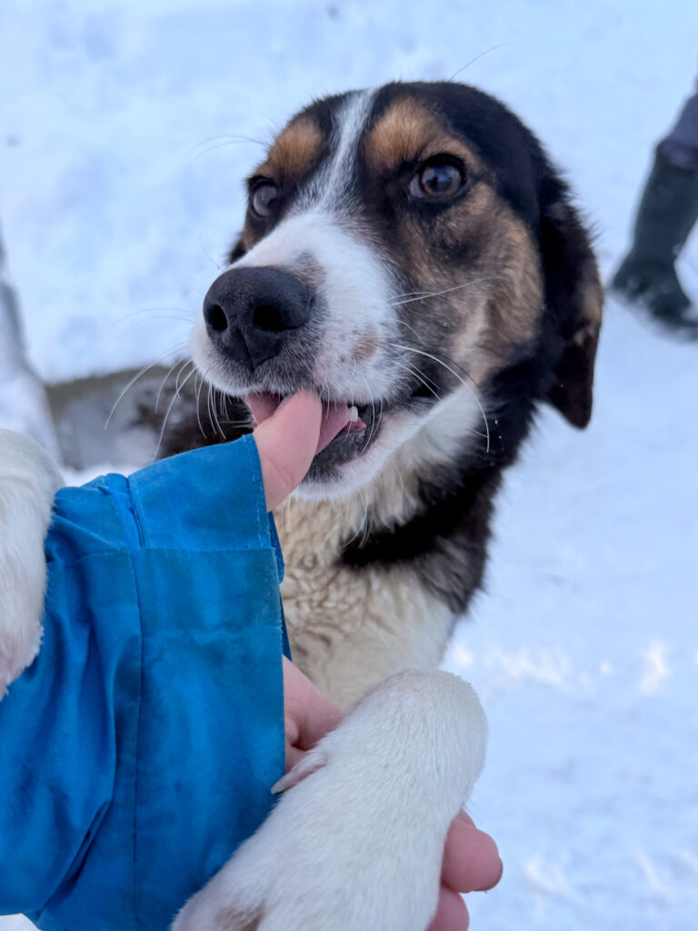 20260108-fotos-loara-17