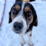 20260108-fotos-loara-18