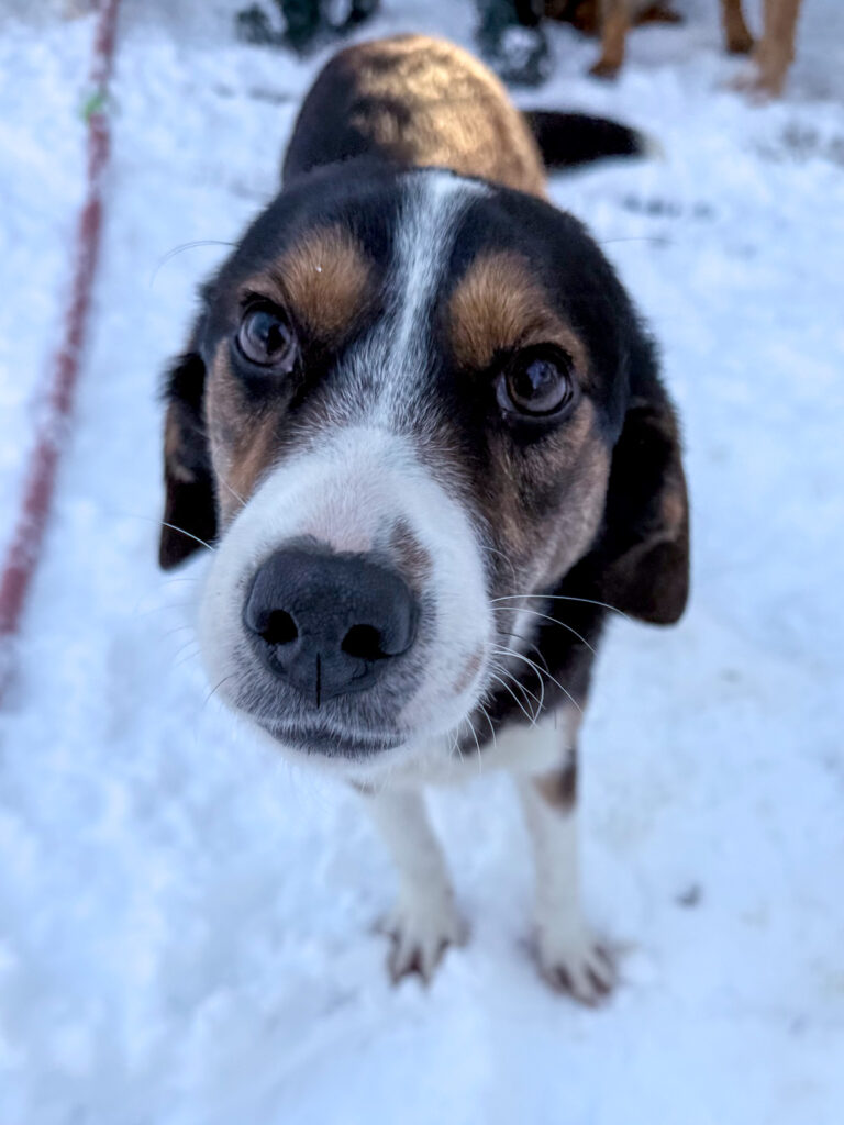 20260108-fotos-loara-18