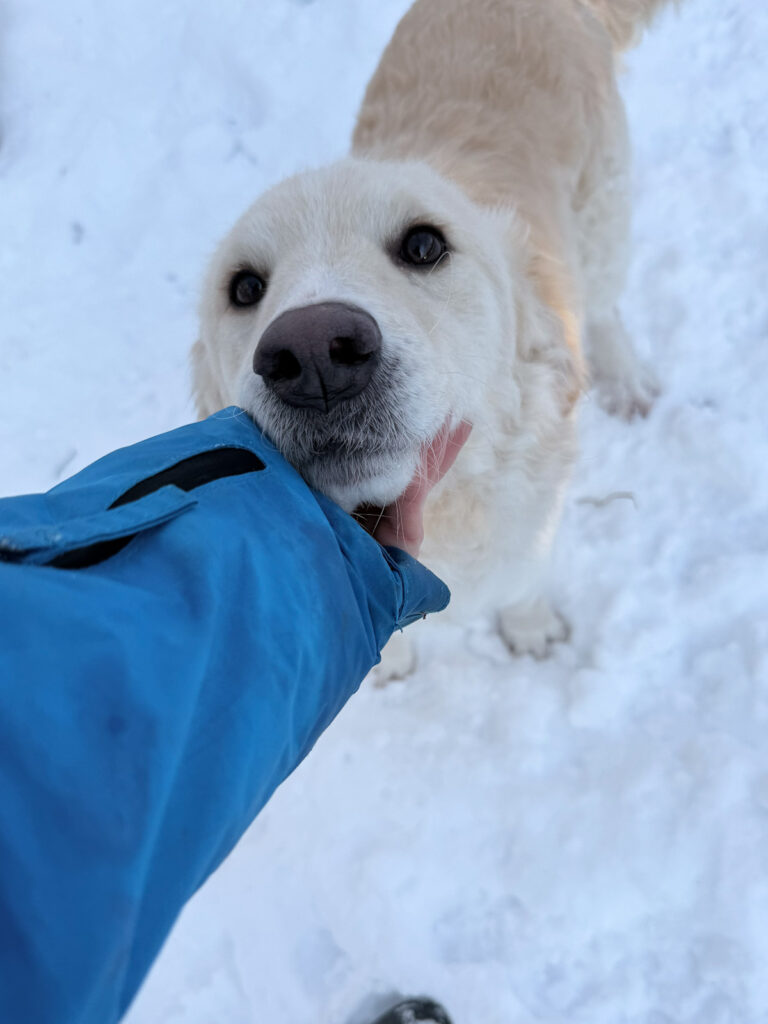 20260108-fotos-maxim-2