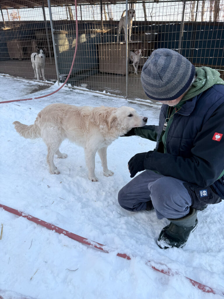 20260108-fotos-maxim-5