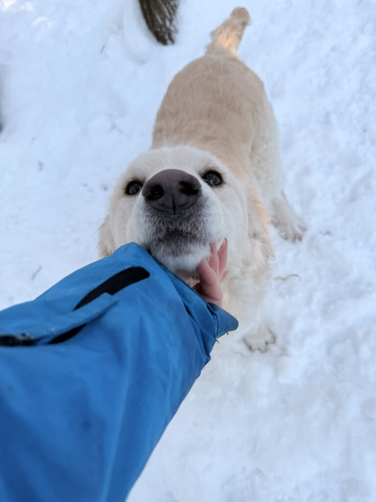 20260108-fotos-maxim-7