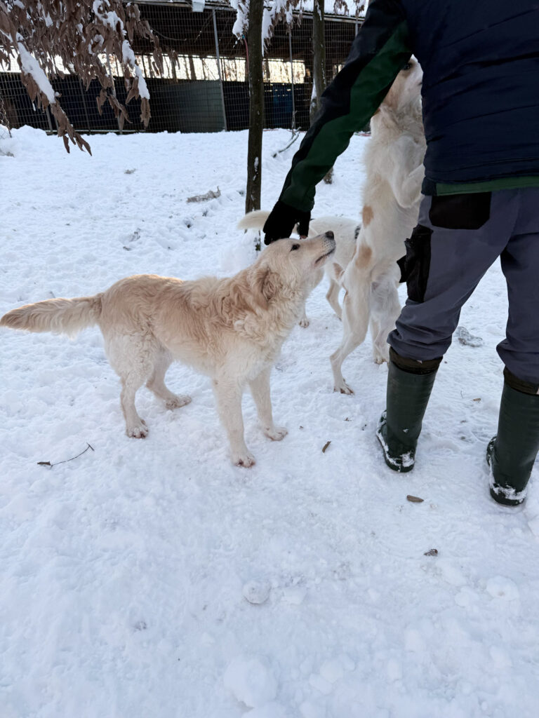 20260108-fotos-maxim-8