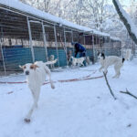 20260108-fotos-takita-1