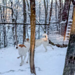 20260108-fotos-takita-3