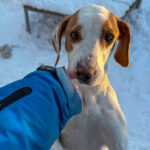 20260108-fotos-takita-4