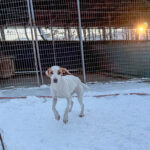 20260108-fotos-takita-5