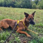 20240917_Fotos_Nisha (19)