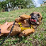 20240917_Fotos_Nisha (27)