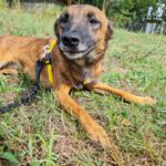 20240917_Fotos_Nisha (42)