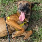 20240917_Fotos_Nisha (46)