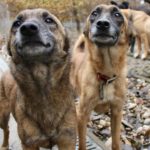 20241206_Fotos_Nisha (5)