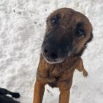 20241225-fotos-nisha-1