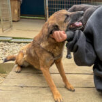 20250415-fotos-nisha-02