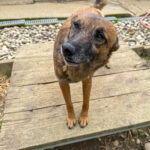 20250415-fotos-nisha-12