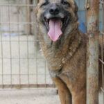 20250415-fotos-nisha-19