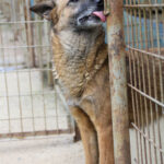 20250415-fotos-nisha-28