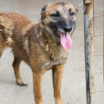 20250415-fotos-nisha-36