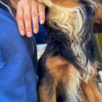 20250420-fotos-bobisha-3