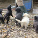 20251117-fotos-kasper-3 (1)