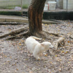 20251117-fotos-kasper-7