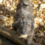 20251126-fotos-kairo-01