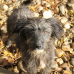 20251126-fotos-kairo-03