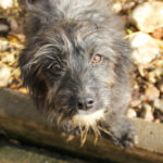 20251126-fotos-kairo-04