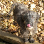 20251126-fotos-kairo-05