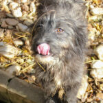 20251126-fotos-kairo-06