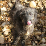 20251126-fotos-kairo-07