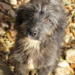 20251126-fotos-kairo-08