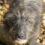 20251126-fotos-kairo-09