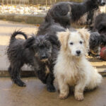 20251126-fotos-kairo-10