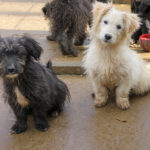 20251126-fotos-kairo-11