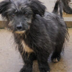 20251126-fotos-kairo-12