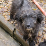 20251126-fotos-kairo-13