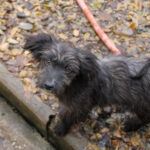 20251126-fotos-kairo-14