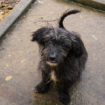 20251126-fotos-kairo-16