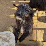 20251126-fotos-kairo-17