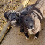 20251126-fotos-kairo-18