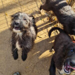 20251126-fotos-kairo-19