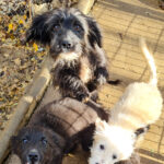 20251126-fotos-kairo-20