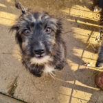 20251126-fotos-kairo-21