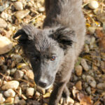 20251126-fotos-kalea-01