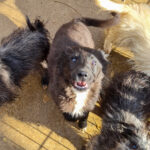 20251126-fotos-kalea-04